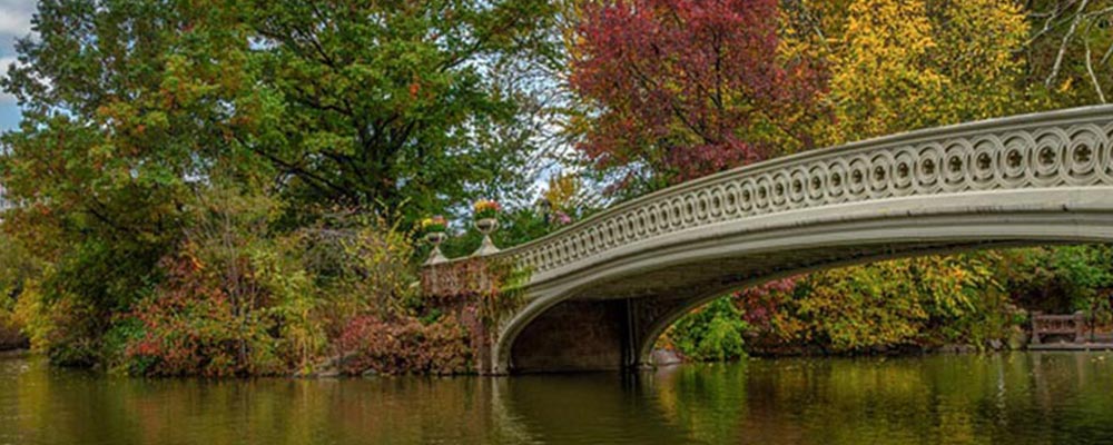 Bringing Urban Parks to Life