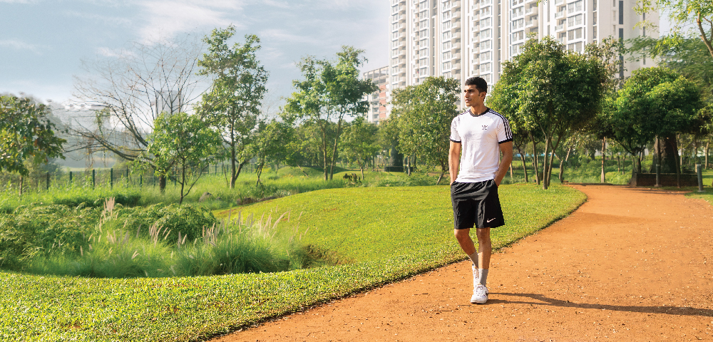 Explore how Palava combats urban heat by sustainable measures